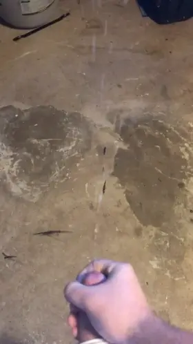 I need a face or two to spray 💦🤣