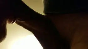 What happens when you feed ?this? mogwai past midnight