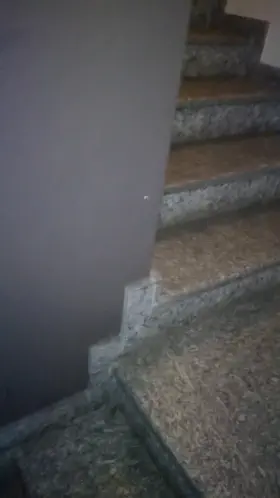 Uncut cock - Public cumshot on the condo's stairs