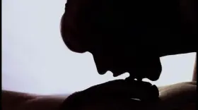 Gorgeous silhouetted sucking