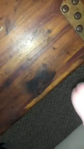 I want to fill your pussy next