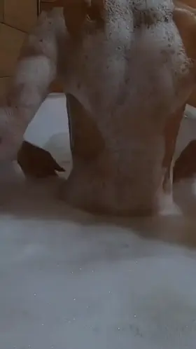 Teaser Vid I from my drive - 219