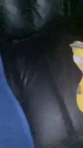 Need a trib like this? Pic has to be similar type and good quality.