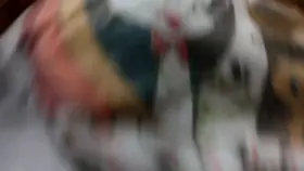 Do you like seeing under my outfit for the library?🙈💕