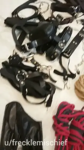 collection is only getting bigger