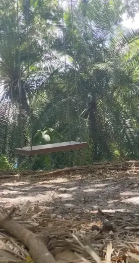 My legs aren't long enough for this to be quite as elegant as I had hoped 🌴