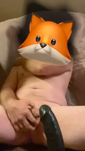 Filthy fox getting drenched [sound on]