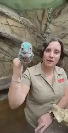 I hope I catch some older guy’s attention today. 😇