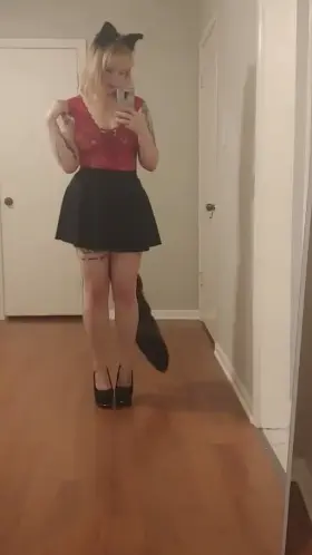 Kitten in heels