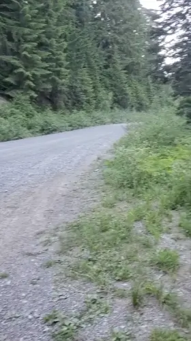 What a great viewpoint for Mount Rainier and the lenticular clouds, eh?😉😈