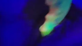 what a delicious sound