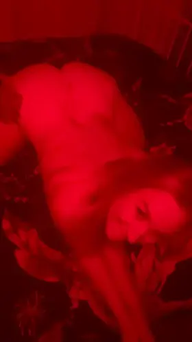 Plenty to grab and I love it 😻