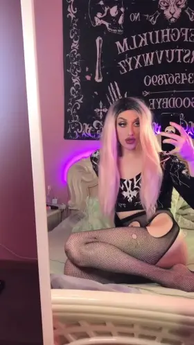 What we gonna do tonight?