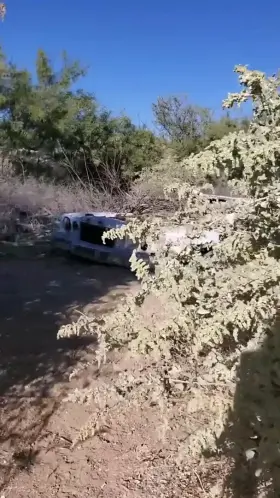 An adventure I had along the trail