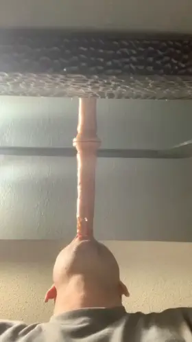 I call this the “Lick The Mirror With 9 Inches Down Your Throat Challange”