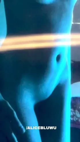 Your lunch is served.