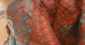 Here’s a close up…maybe I’ll show you all more.