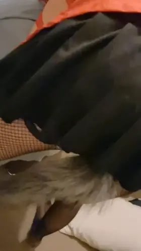 Soft boi kitty wiggles ^-^