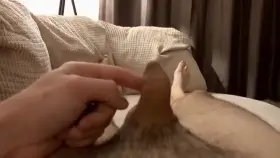 Watch this beauty grow...🍆😉