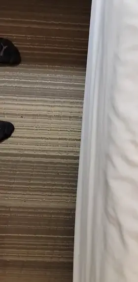 Hard Dick and Underwear GIF by travelguy