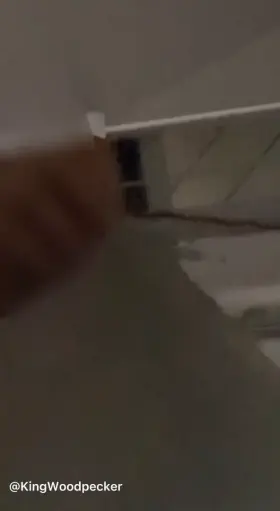 Kneel down, i need you to stop this mess from happening