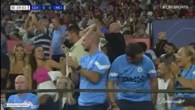 Champions League Match. Manchester City Fan