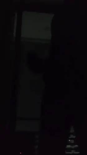 [M] I could really use some 😺 tonight but here's an idea for what..( Sound up)