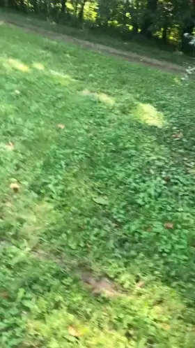 I’ll risk getting caught when I’m SUPER horny! [F][M]