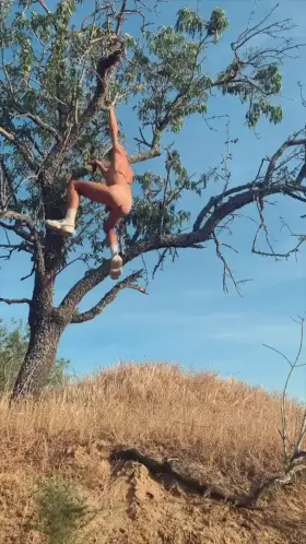 Can I climb your tree?