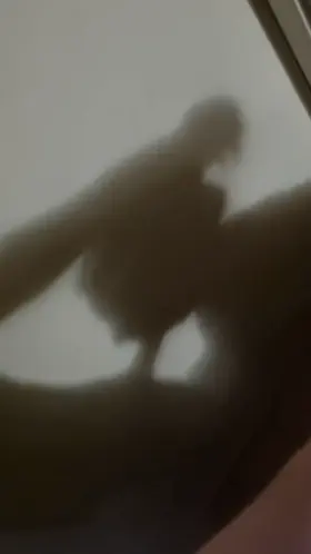 Getting my cock sucked from the shadows ;)