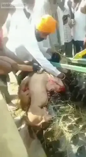 A work accident in Africa (Bad way to die)
