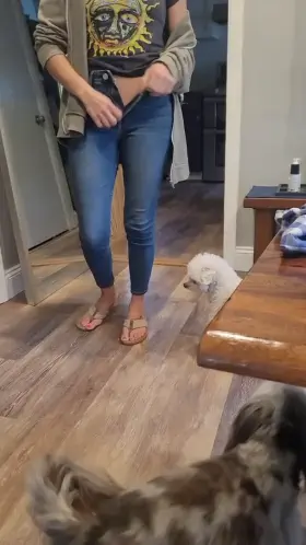 Little slut wife, you know what you got.