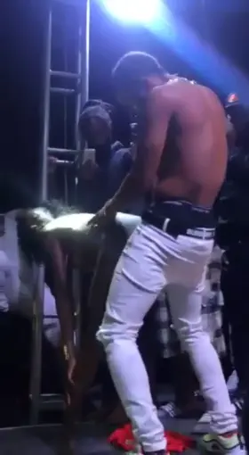 She gets topless on stage and gives the singer a dance during his concert