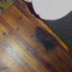 Would you eat it? (M35)