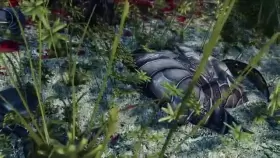 Defeat (Shoocke) [Skyrim]