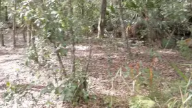 Beautiful day to get naked in the park