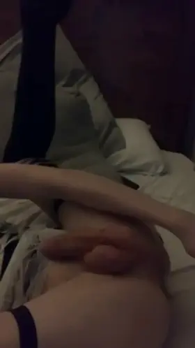 stupid sissy puppy up for grabs 🥰🐶