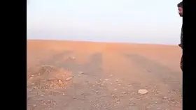 please help me find the full version of this 