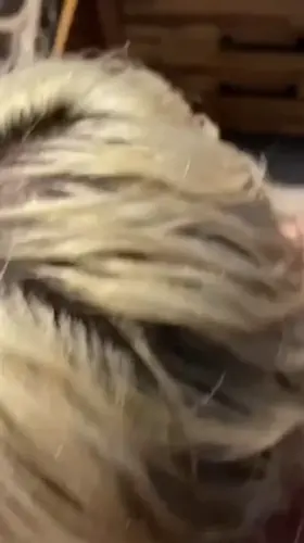 Taking my man’s load is so satisfying!