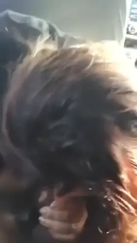 Mom loves to suck my dick on her work break