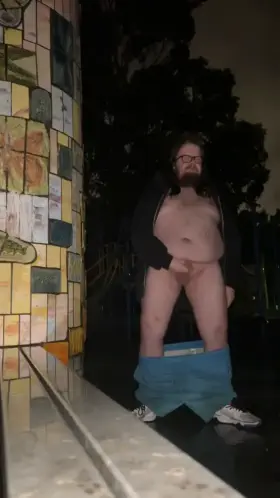 [M] This was so exciting going to a park with houses across the road and with my camera light on could see me jerking off till I cum if they looked. Was originally going to leave the jacket on but then decided to show off more. Hope you all like it.