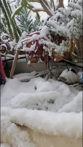 Cum on the balcony with me?