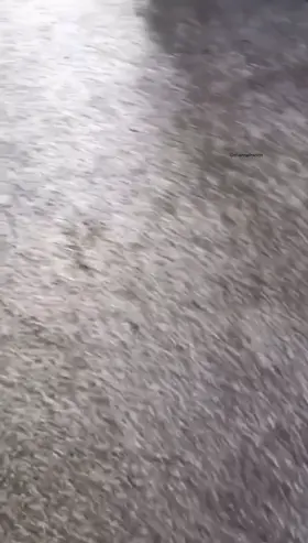 MAGIC TRICK DO U LIKE IT ? (🔥👇FREE LINK MEGA IN THE COMMENTS👇🔥)