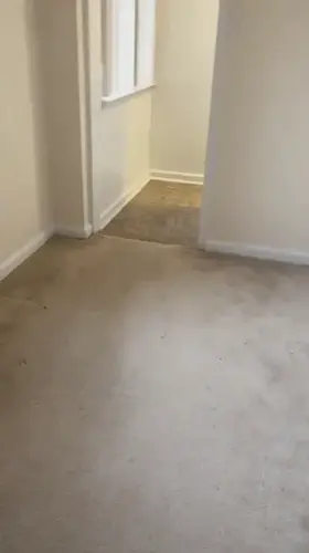 Submissive sluts are lovely in the DMs 😈