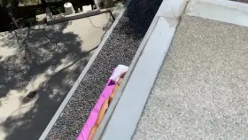 busted spying my my neighbor!