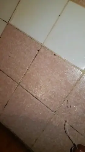 Just 12 ropes from my SHORTgun