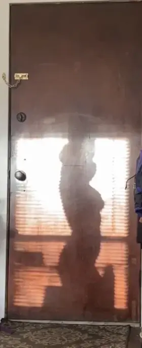 Stretching in the sunlight in my apartment naked is pure bliss