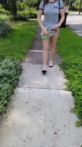 Just taking in the sights