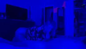 Watch what I do best. 🍆