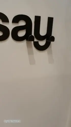 Exhibitionist flashing.